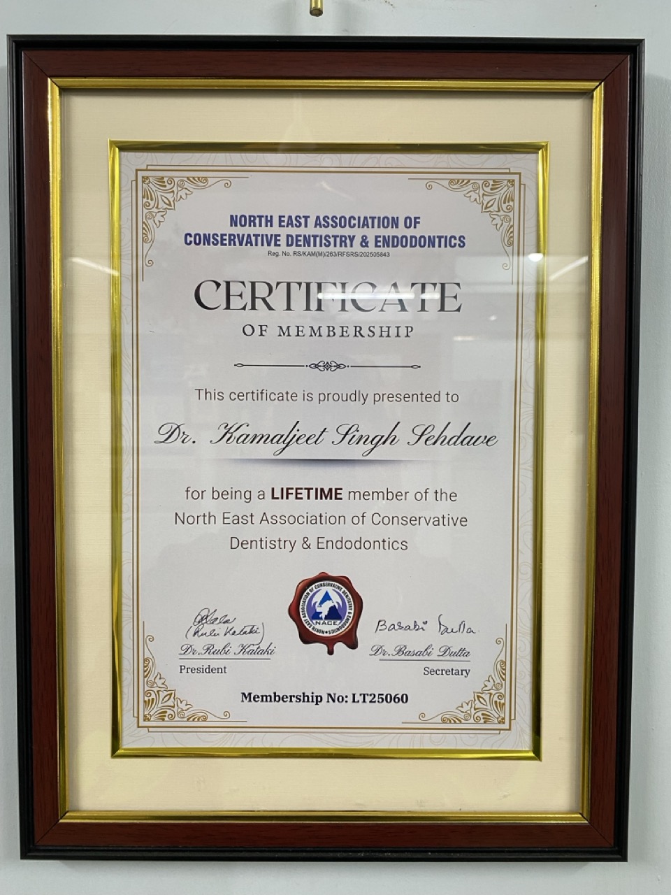 Display shelf with dental awards, trophies, and certificates