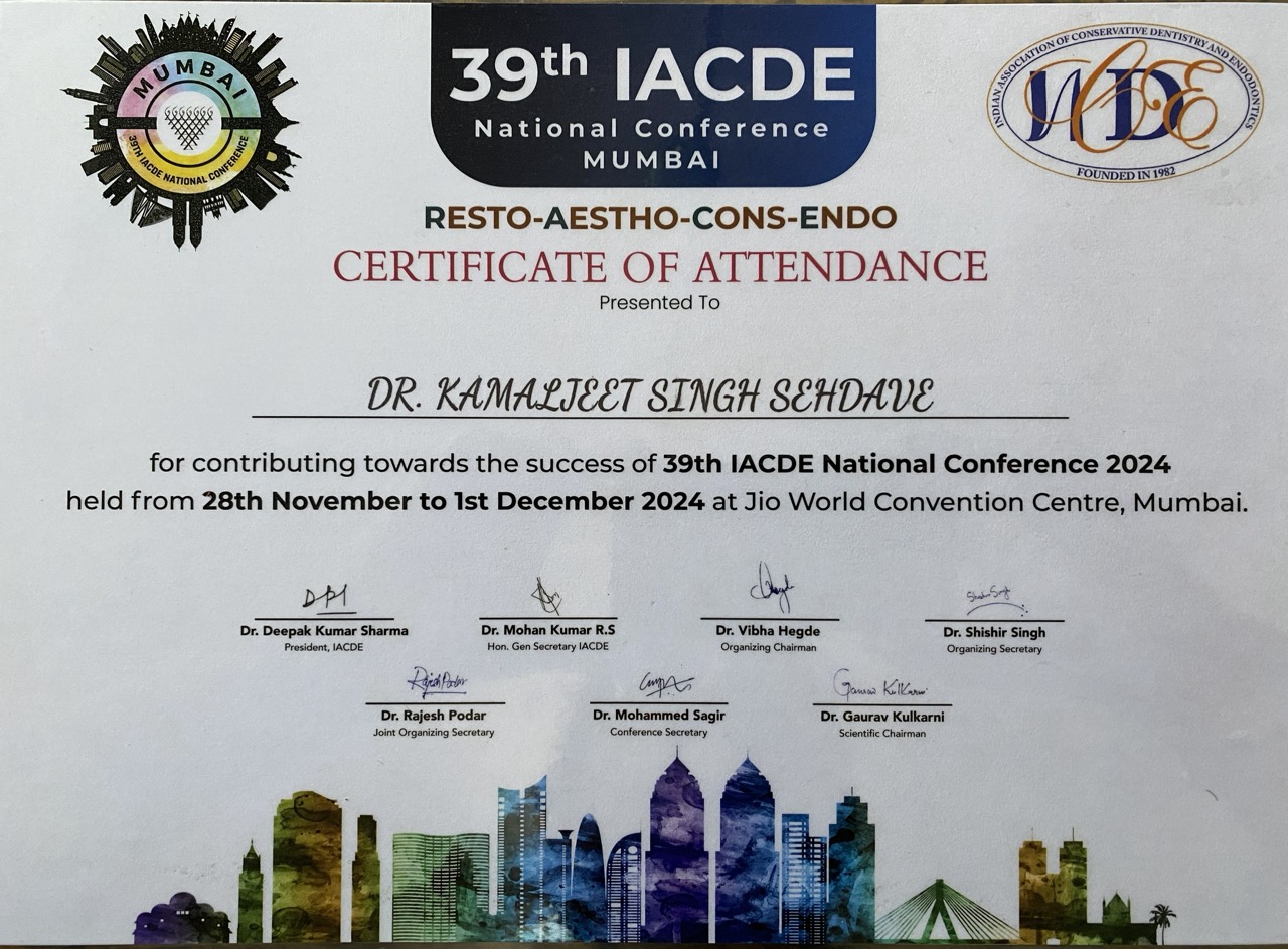 Professional Certificate 1