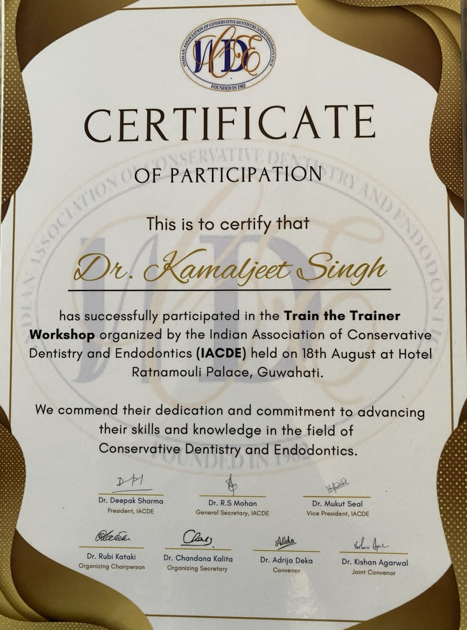 Professional Certificate 2