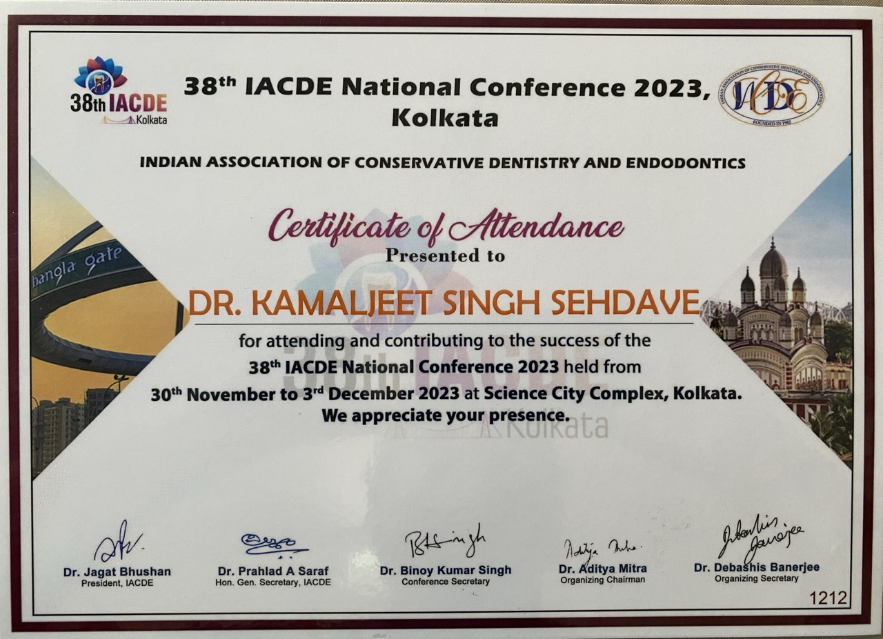 Professional Certificate 4