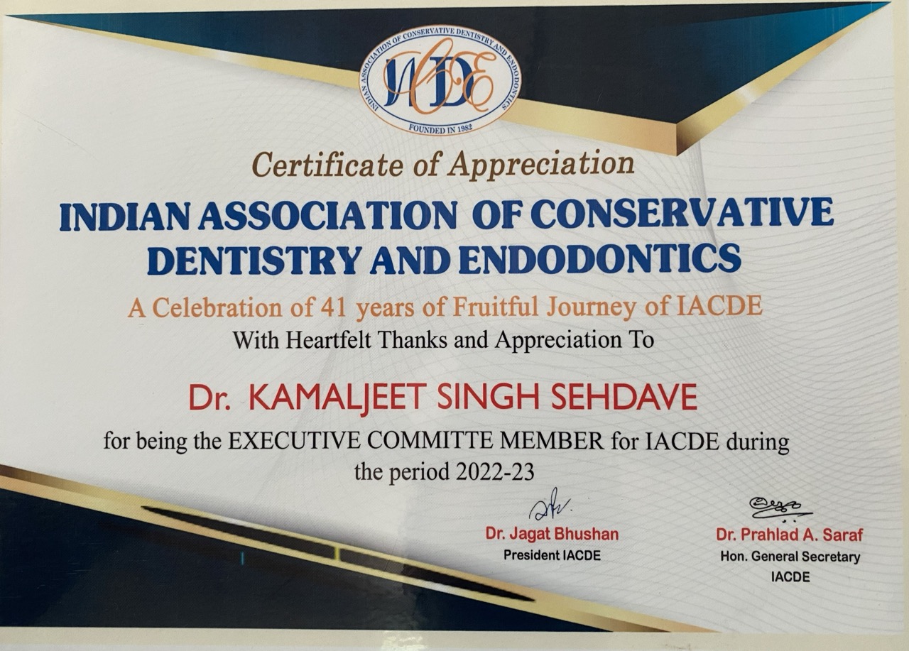 Professional Certificate 5